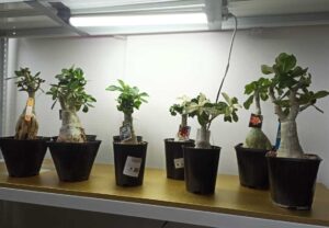 Подогрев грунта в домашних условиях электрическими панелями Хотпанел