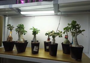 Подогрев грунта в домашних условиях электрическими панелями Хотпанел