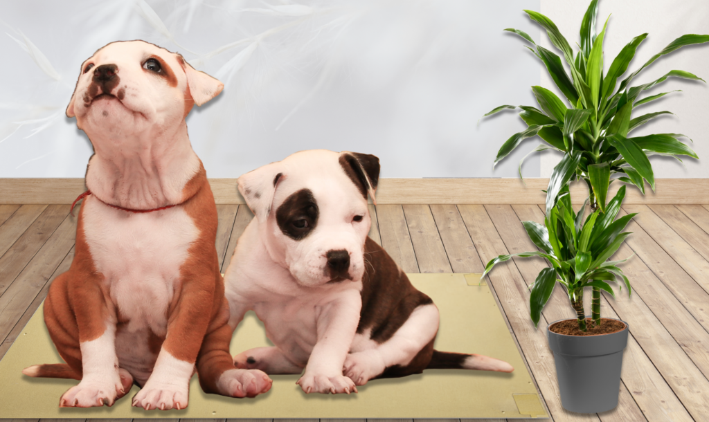 Обогрев животных